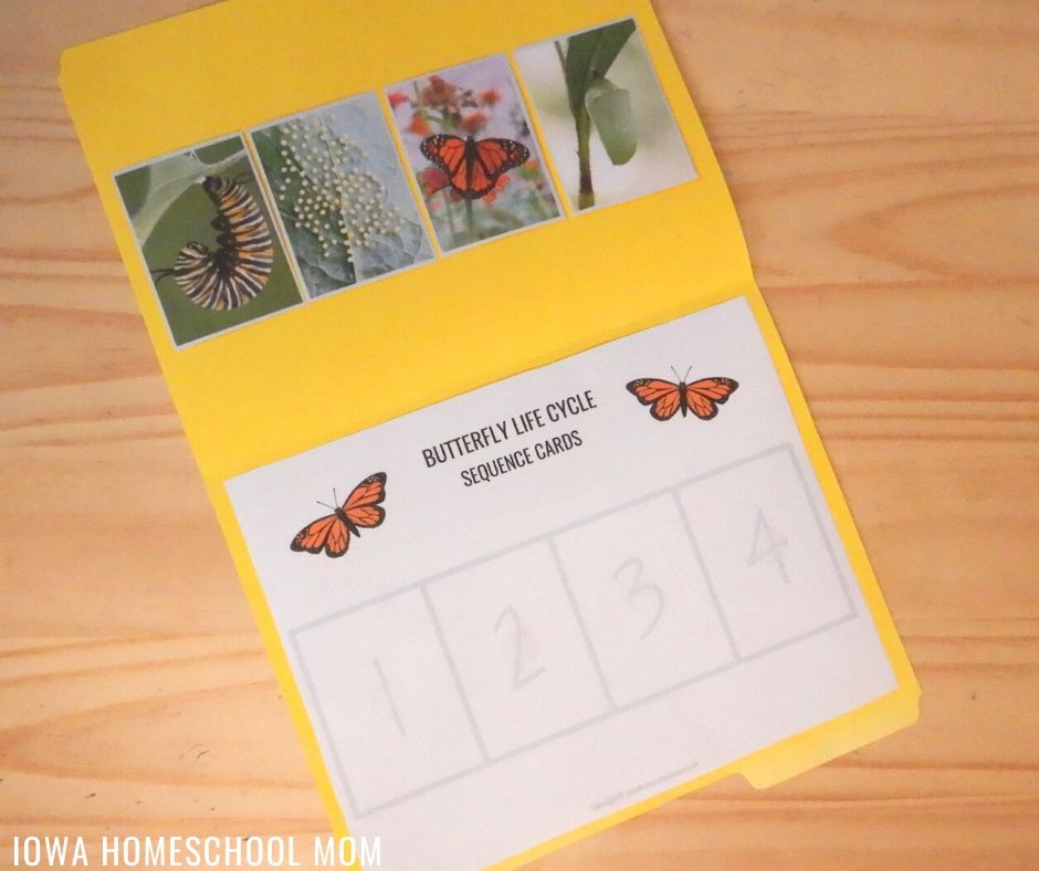 Pendaflex Two-Tone Color File Folders, Letter Size, Gray, 1/3 Cut, 100/BX